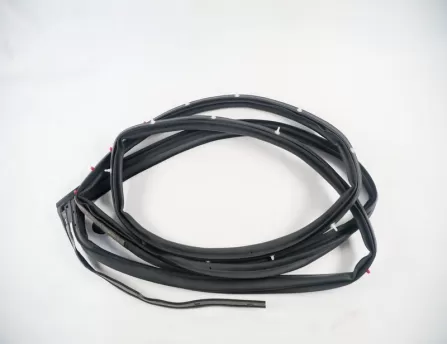 Door seal, rear left