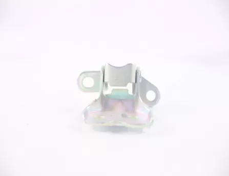 Door hinge front lower left